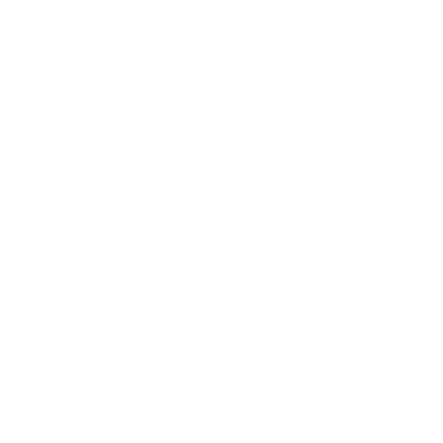 The Station